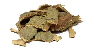 poplar bark treatment of prostatitis