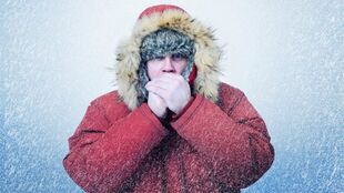 hypothermia as a cause of prostatitis