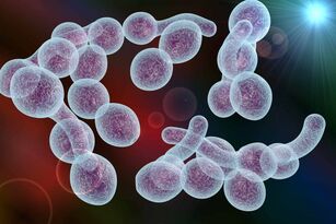 the causative agent of bacterial prostatitis in men