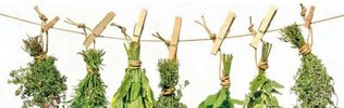 effective herbs against prostatitis